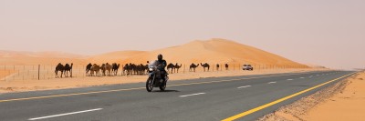 Behind the Scenes, UAE, Abu Dhabi, Bike Tour, desert
