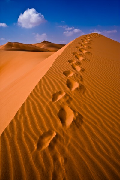 desert footprints