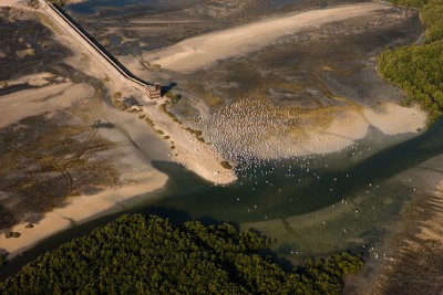 Aerials, UAE, Dubai, Dubai Creek protected area for wildlife and flamingos